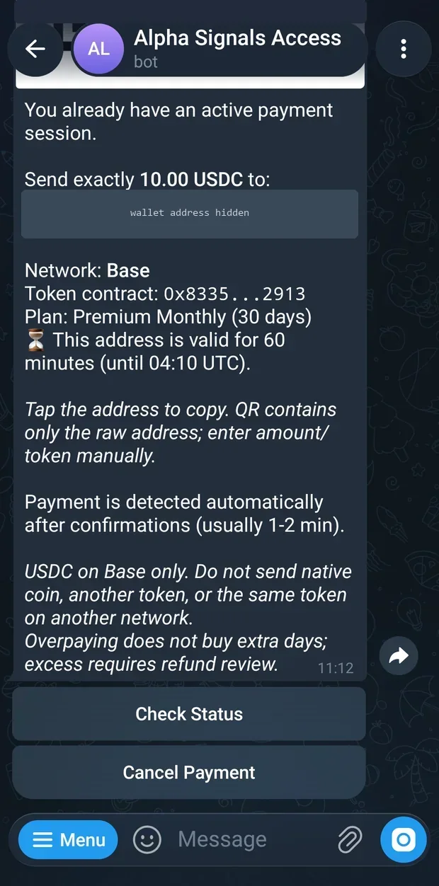 The payment screen after the transfer has been sent, before confirmation arrives.